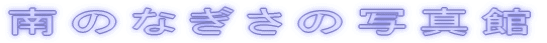 ̂Ȃ̎ʐ^